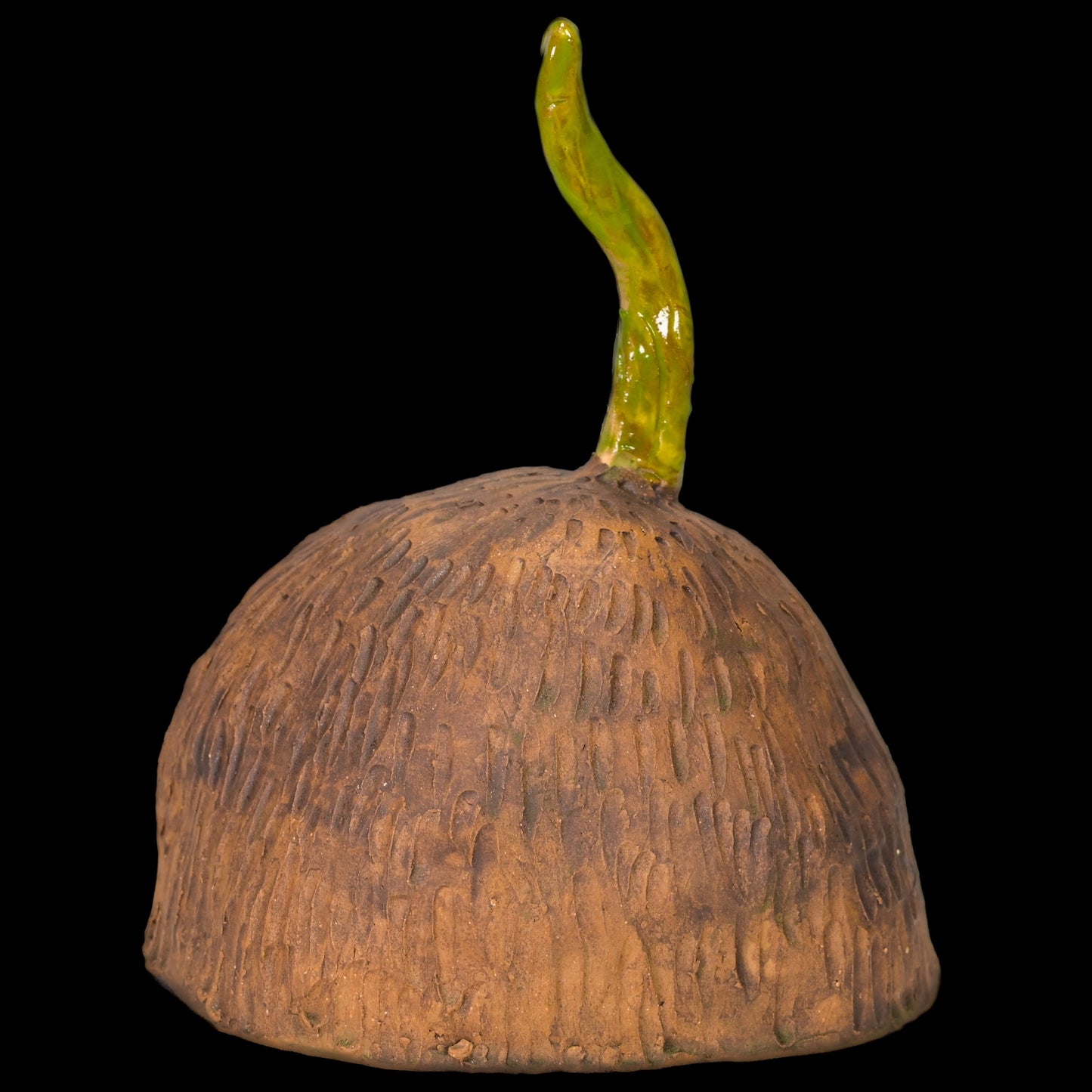 THE SMALLEST SEED - Danita Art