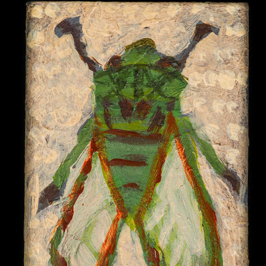 THE CICADA