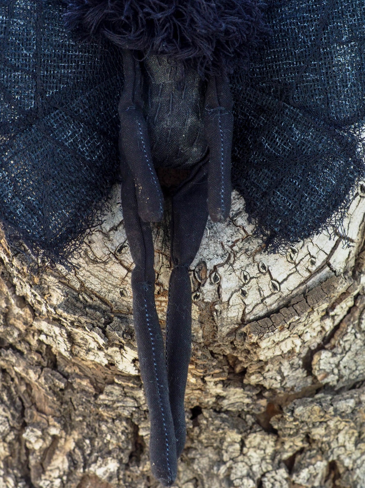 Original goth ard doll y Danita Art. Moth figurine toy perfect for the halloween collector who loves handmade unique surreal and whimsical art