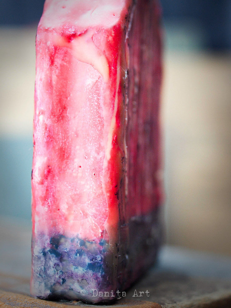 The Photographer, Original Art by Danita Art