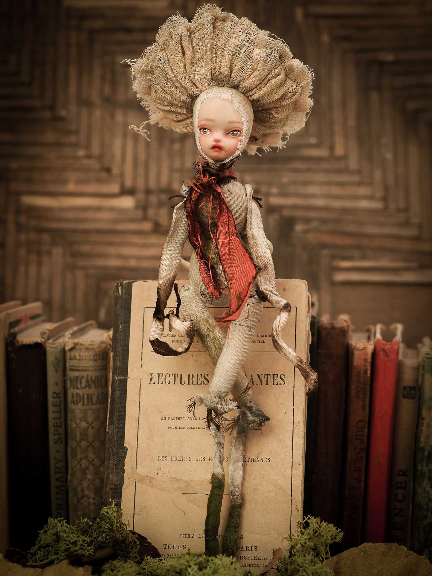 MUSHROOM SPECIMEN N. 113: DAZZLEHEART