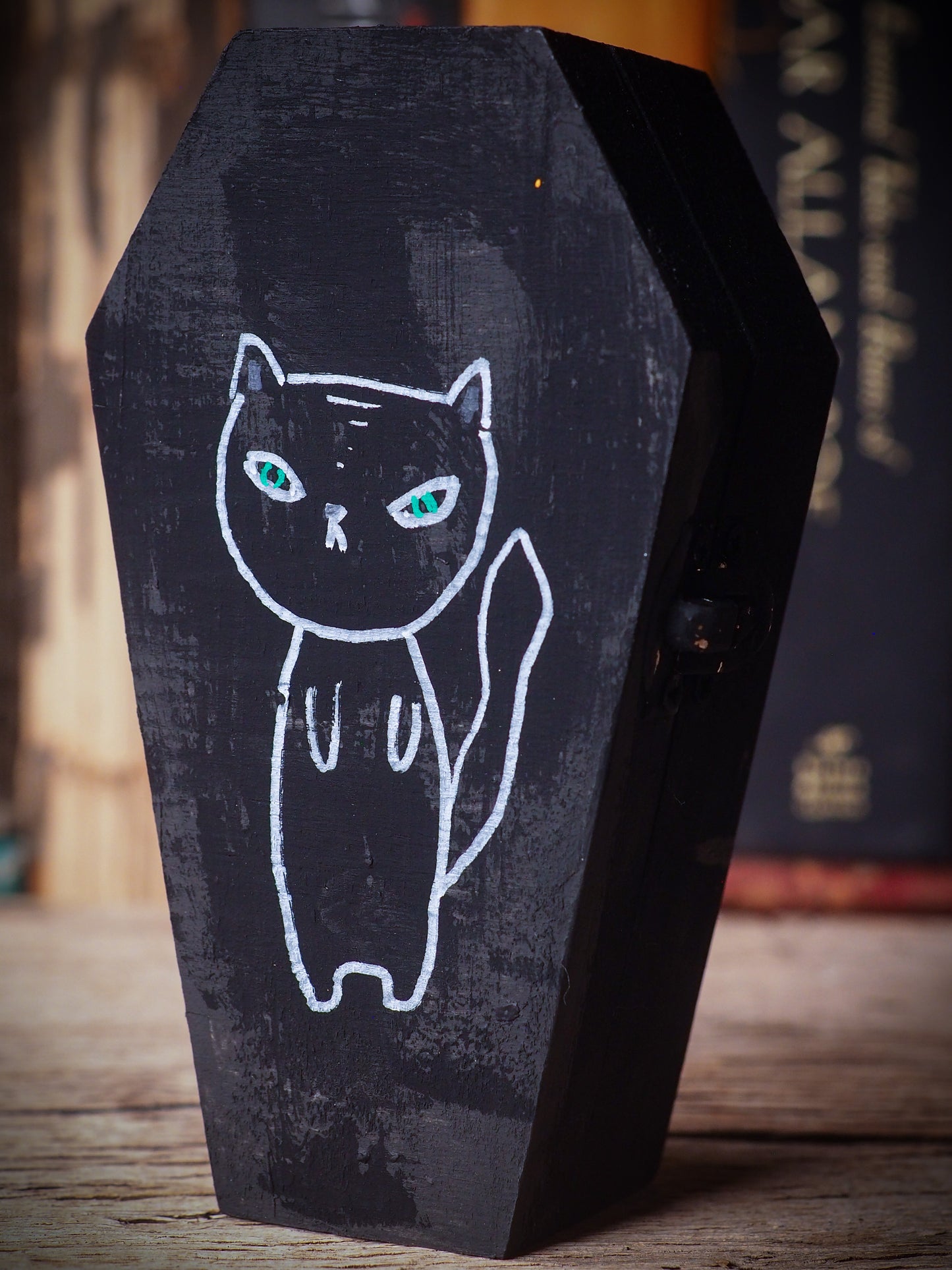 LOKI THE CAT