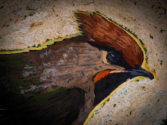 This is an original mixed media painting by Idania Salcido, the artist behind Danita Art. I read about the Audubon Birds and immediately got fascinated by their story. I hope you enjoy my tribute to his work on this series of mixed media paintings using acrylics, pastels, pencils and oil pastels on watercolor paper.