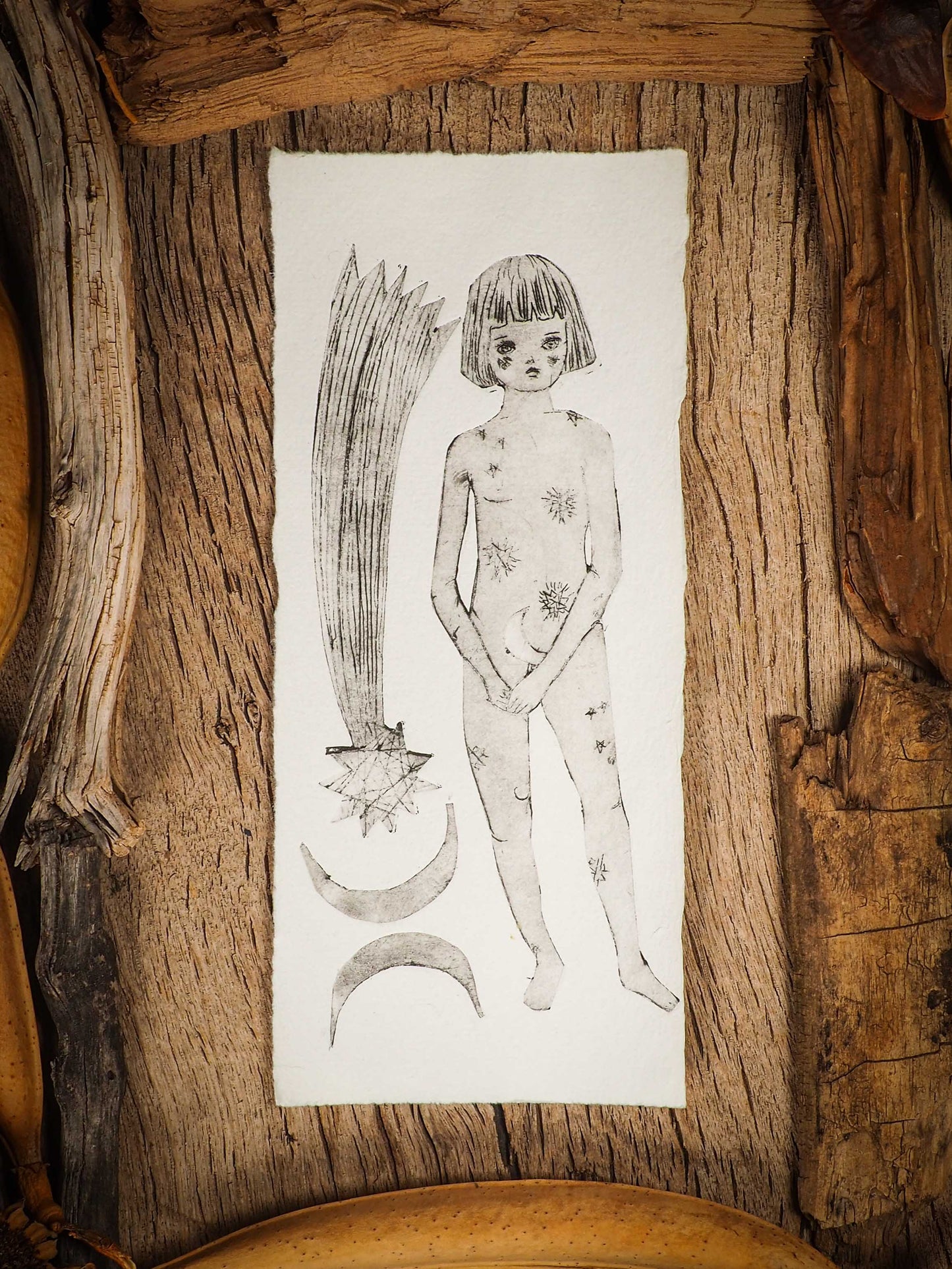 THE MESSENGER FROM THE STARS