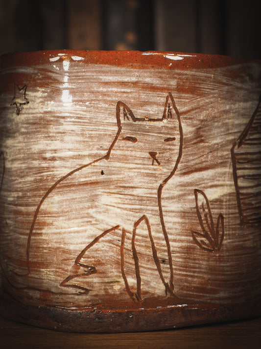 THE CAT AND THE HOUSE