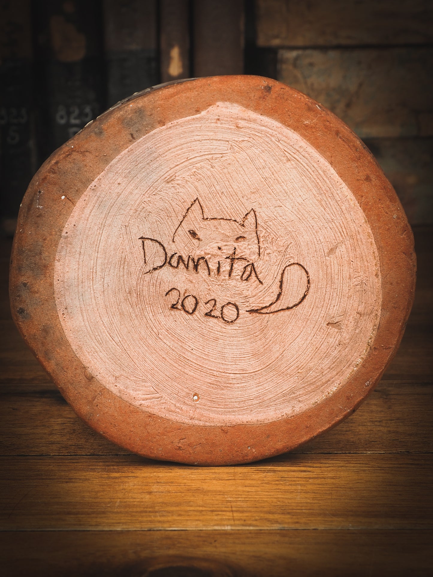 THE CAT AND THE HOUSE