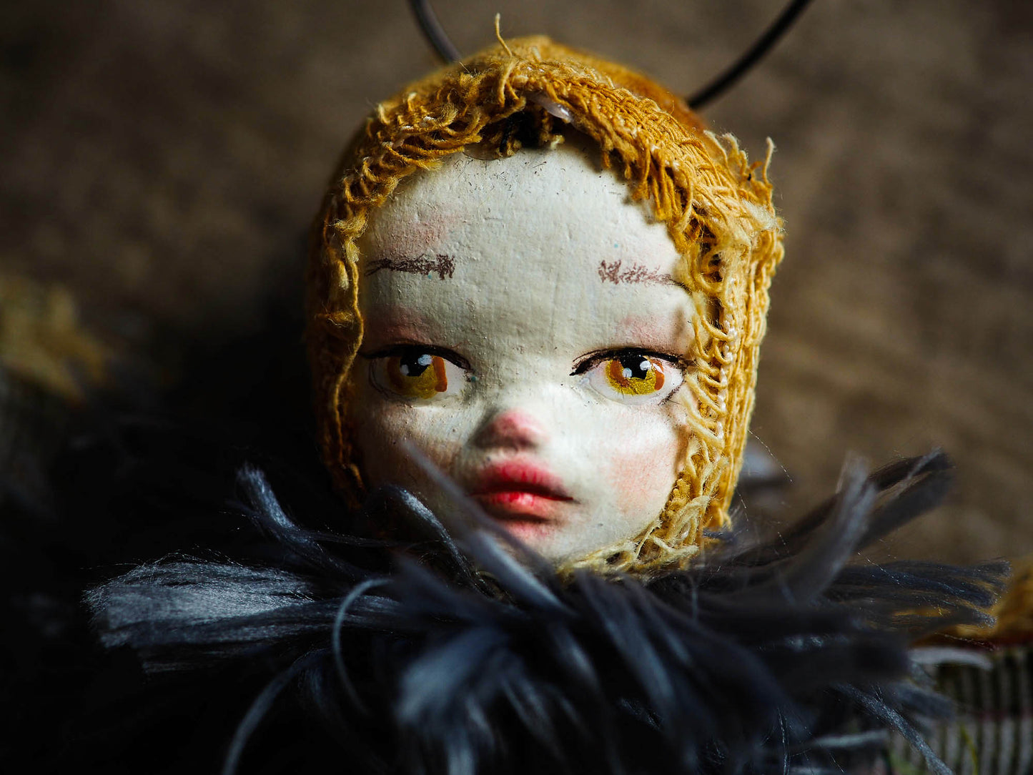 MOTH SPECIMEN N.10, Art Doll by Danita Art