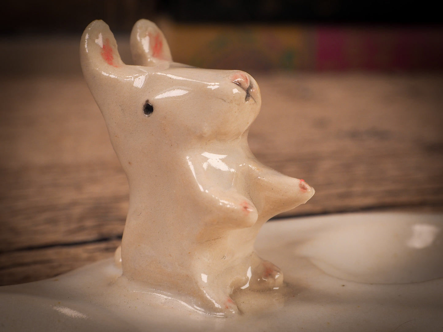 ARTIST'S PAINT PALETTE #08 - THE BUNNY