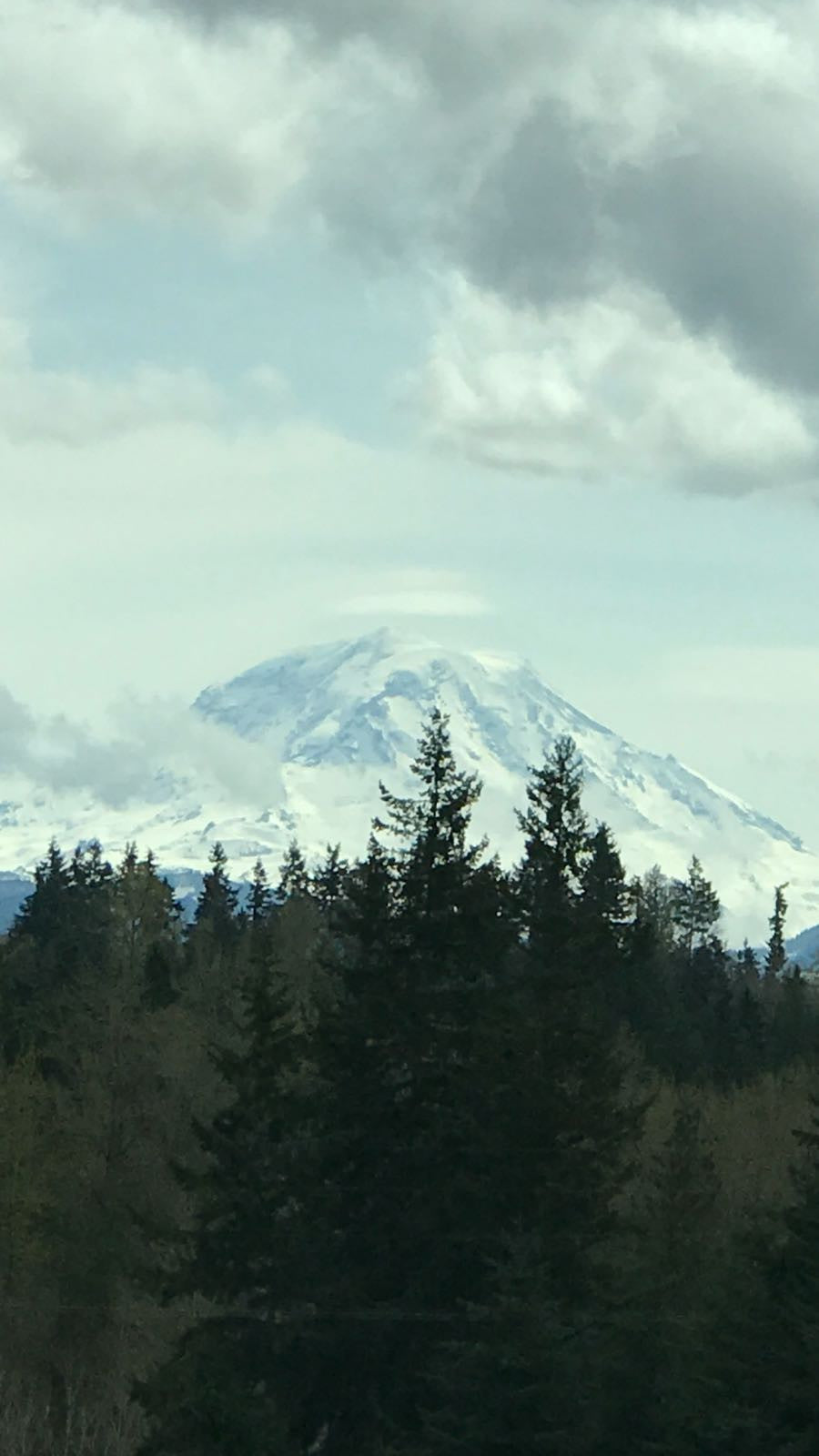 An art retreat with Danita, Classes by Danita Art