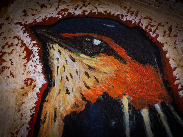 THE AUDUBON BIRDS