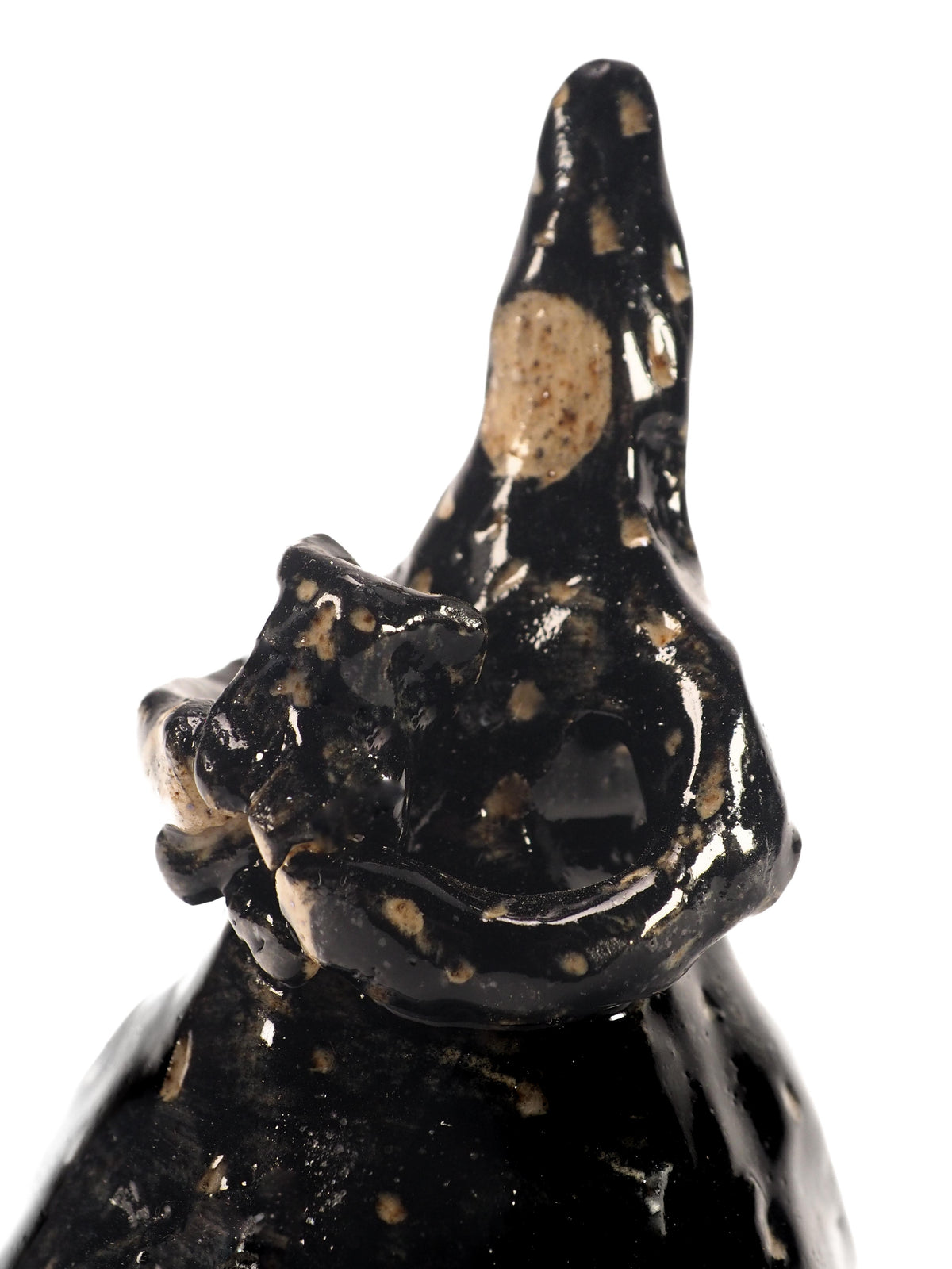 THE EMBRACE OF THE MIDNIGHT CAT