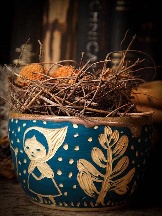 THE GIRL AND THE BIRD