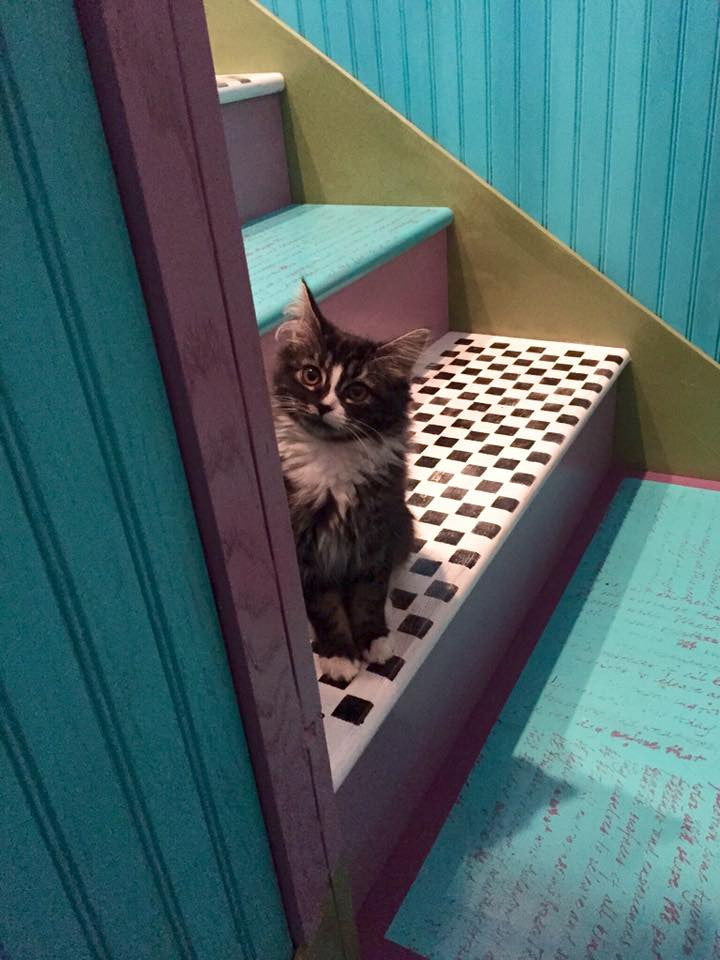 An art retreat with Danita, Classes by Danita Art