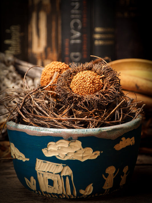 You are looking at original handmade fire glazed stoneware ceramic piece with sgraffito bird and peasant girl motifs in a deep aquamarine color by Idania Salcido, the artist behind Danita Art.  Each original Danita Art ceramics piece is unique and special and cannot be repeated. You are getting a one of a kind work of art to display, or use it as one of your favorite home decorations.