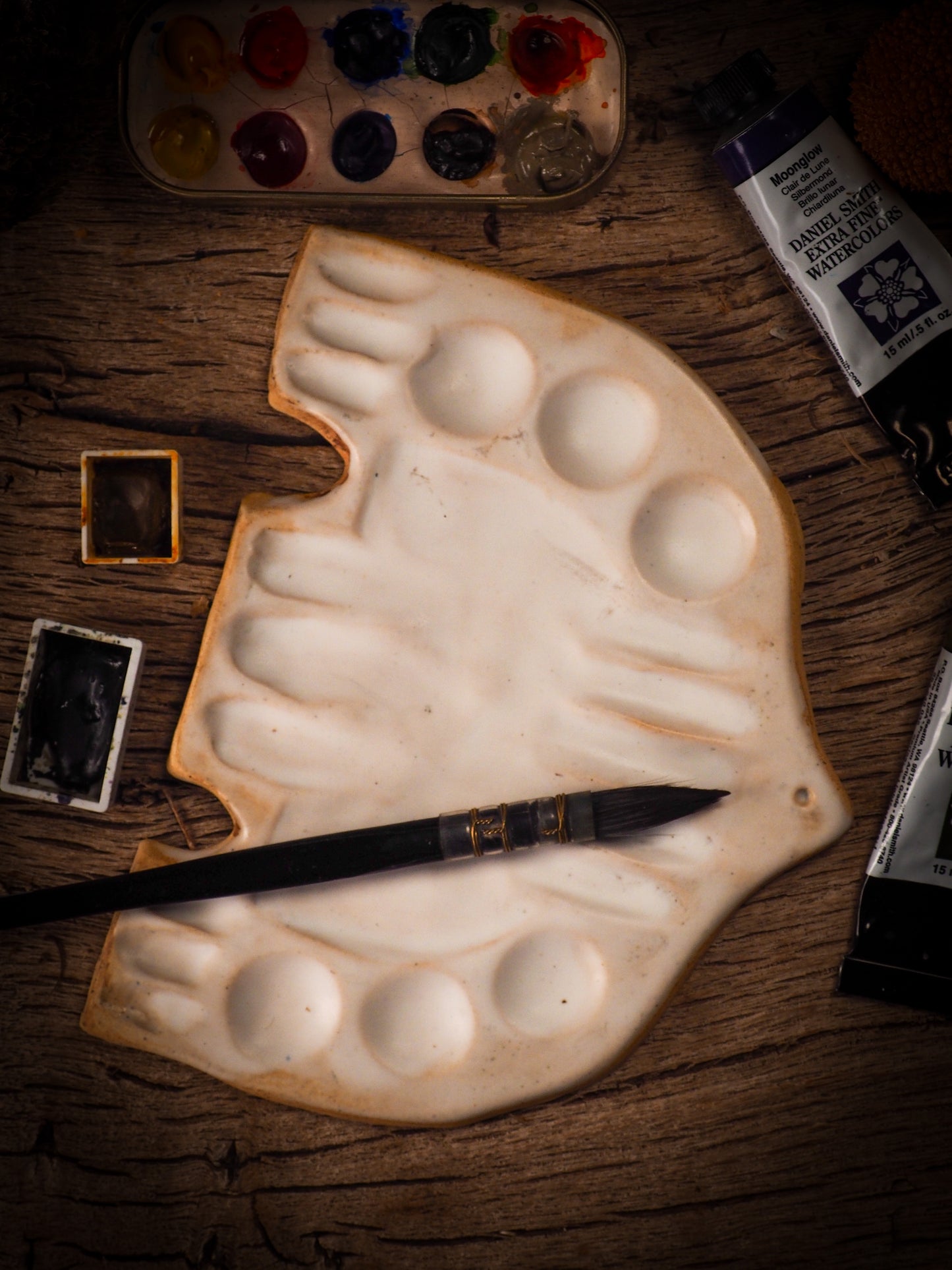 SONGBIRD PALETTE #014